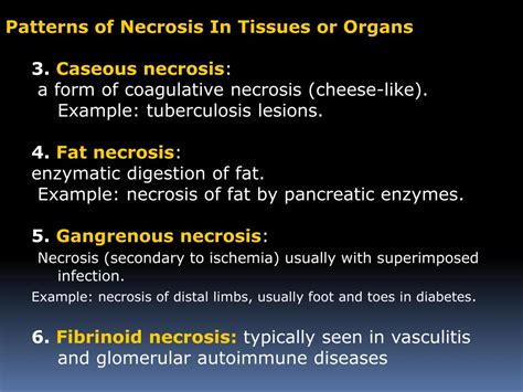 PPT - Necrosis and apoptosis PowerPoint Presentation, free download ...