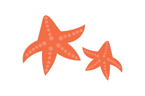 Cute Starfish Vector Graphic by astersenna · Creative Fabrica