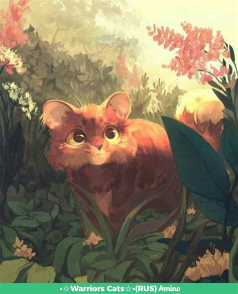 Анкета | Wiki | Коти Вояки 🐈 Amino