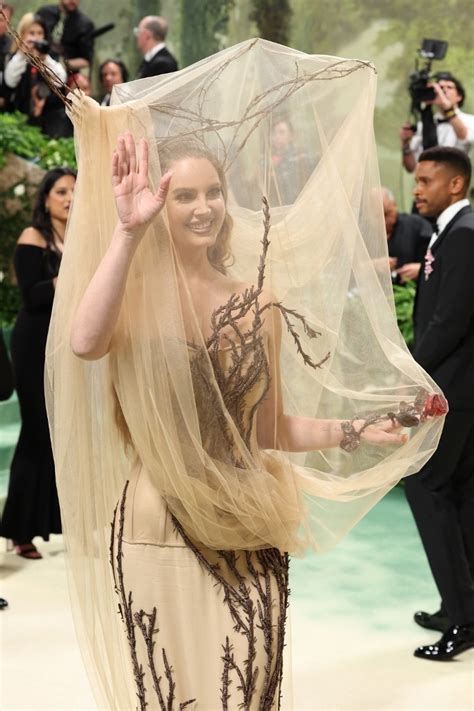LOOK: Hummingbirds and hooves take over the red carpet at Met Gala 2024 ...