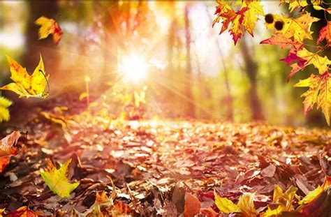 September, time for a new start? - IGC