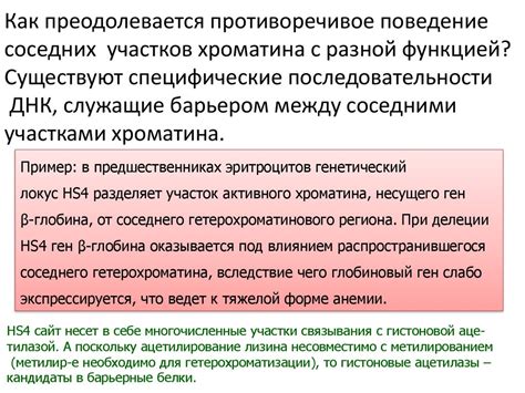 Организация хроматина. Лекция 4 - презентация онлайн