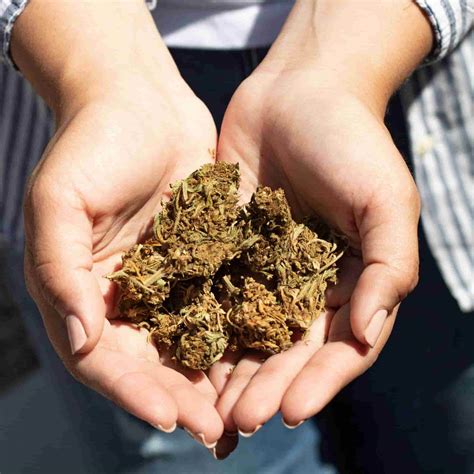 How Delta 9 Isolate Differs from Full-Spectrum THC Products - Nano Hemp