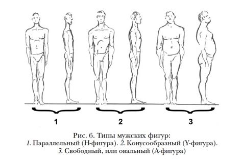 Типы мужских фигур (Мода › Мужчинам) - HighFashion.ru