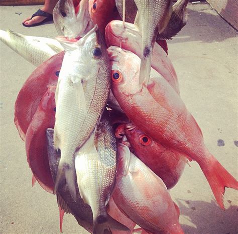 When Was The Last Time You Took Your Knowledge Apart? - HELLO, my name ...