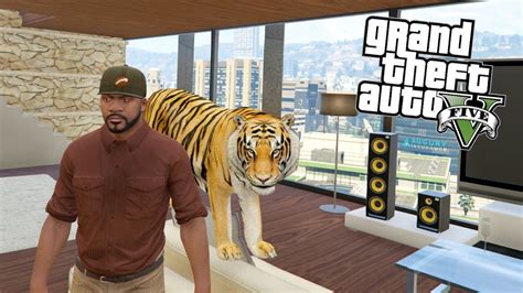 КУПИЛ ТИГРА! - GTA 5 РЕАЛЬНАЯ ЖИЗНЬ - YouTube