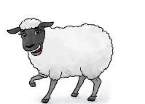 create meme sheep cartoon sheep pictures meme arsenalcom