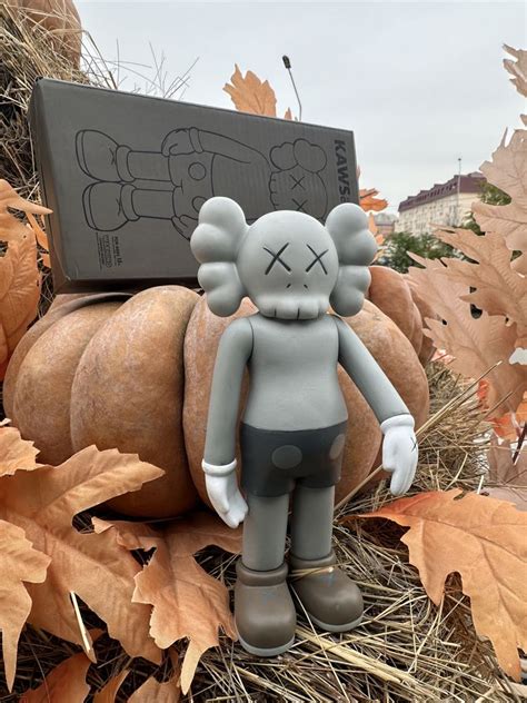 Kaws 20cm/ kaws анатомия 20см: 4 900 тг. - Коллекционирование Атырау на Olx