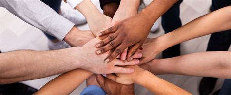 pro bono ecoscribe court reporting experts