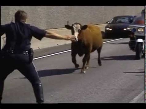 freaknik  atlanta   youtube