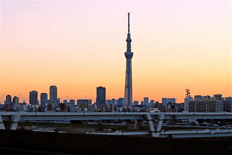 Japanese+Big+Booty Photos, Download The BEST Free Japanese+Big+Booty