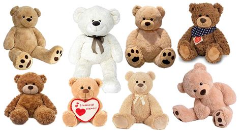 The 16 Cutest Teddy Bears in 2024 + Guide | colomio.com