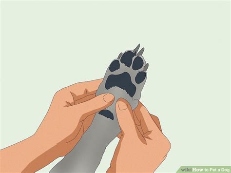 how to pet dog