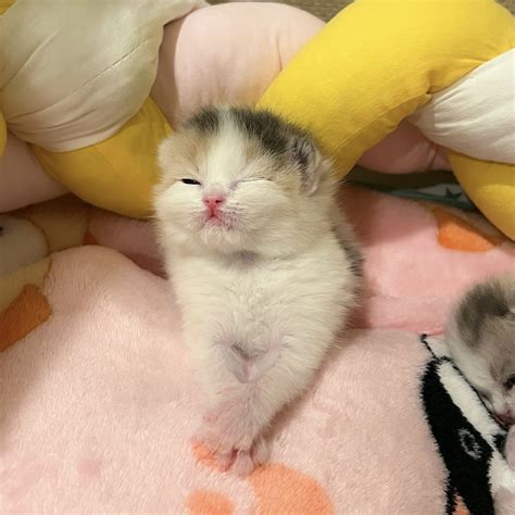 talayy ( 🧧 ) -ไปสอบจ้า- (@rubyy_gg) / Twitter