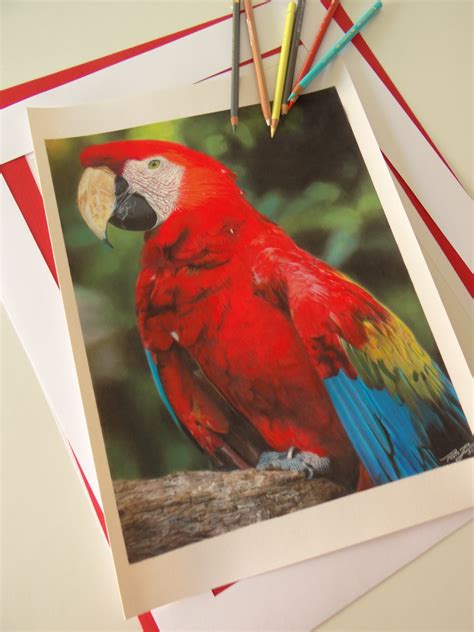 Desenho Realista Colorido de Animais | Elo7 Produtos Especiais