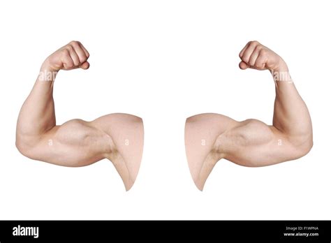 male arms with flexed biceps muscles Stock Photo - Alamy