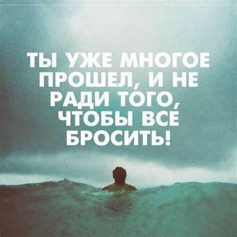 Мотивация цитаты успех | Цитаты, Смешные мотивационные цитаты ...