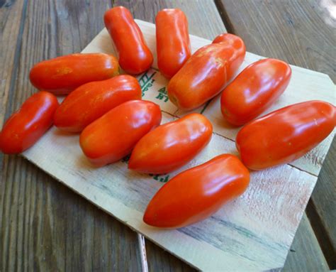 23+ San Marzano Tomatoes Plants - CihanCheryce
