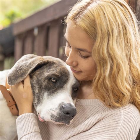 Top 10 Most Aggressive Dog Breeds - Parade Pets