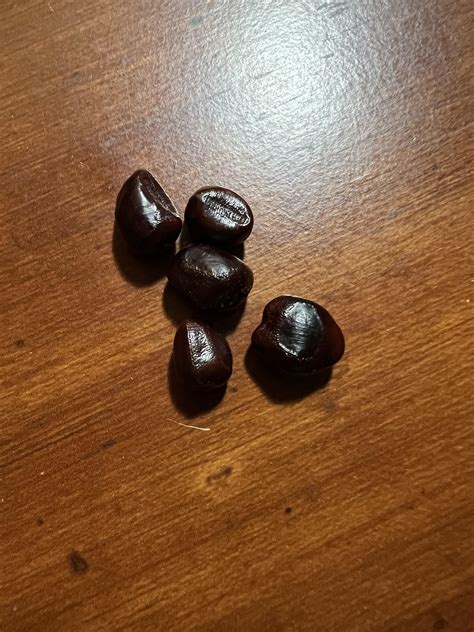 Found these long-forgotten seeds from 3 years ago…anyone have an idea ...