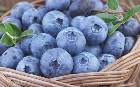 expert advice  growing blueberries suttons gardening grow