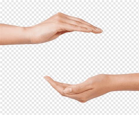 Рука, руки, фотография, рука, люди png | PNGWing