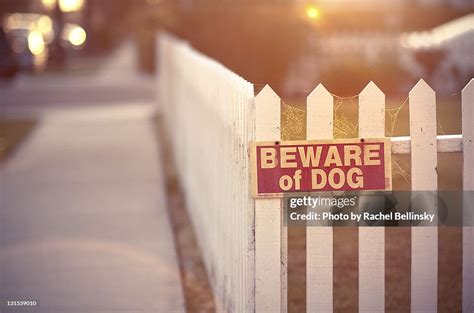 Beware Of Dog High-Res Stock Photo - Getty Images