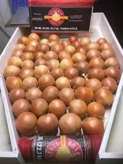 Onions: Fresh Pack – Boardman Foods, Inc.