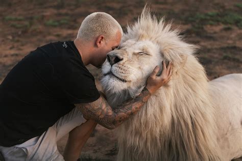 ANIMAL ADOPTION - Dean Schneider