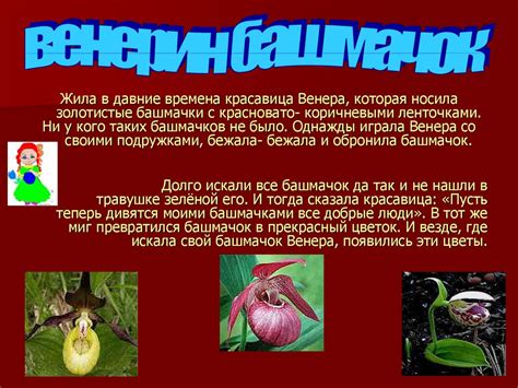 Про растения из Красной книги Красноярского края - презентация онлайн