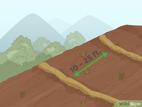Como Evitar a Erosão do Solo: 15 Passos (com Imagens)