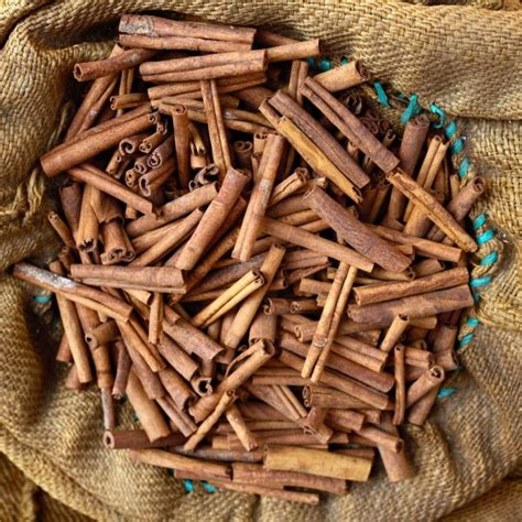 Cinnamon (Cinnamomum spp.): Uses, Benefits, Safety | Herbal Reality