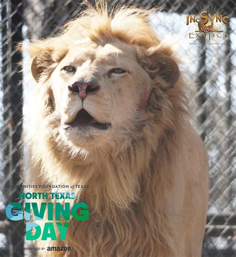 In-Sync Exotics Wildlife Rescue and Educational Center | Wylie TX