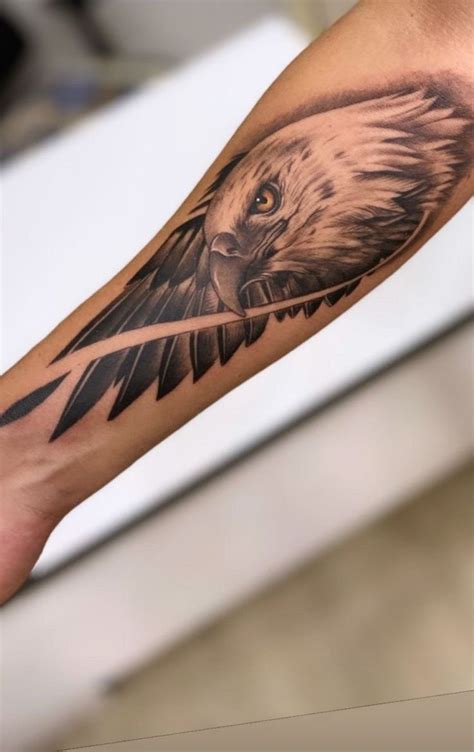 Tatuagens Masculinas Aguia - Tatuagens Tradicionais De Cabeca De Aguia