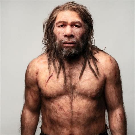 Homo Sapiens