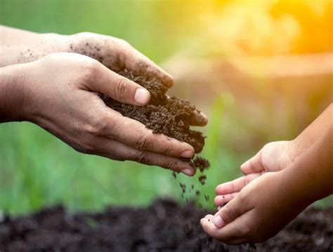 simple techniques  improve garden soil backyard boss