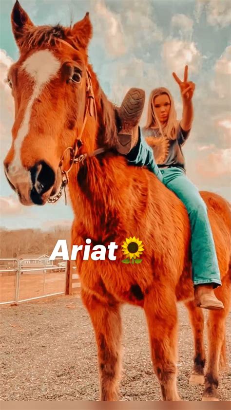 Aesthetic horse names | Leuke achtergronden, Achtergrond