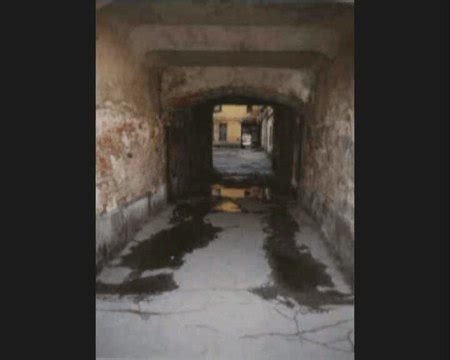 Мультфильм "Задние проходы города Выборга" (2000 г.)