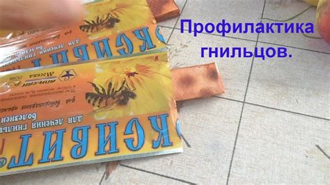 Профилактическая обработка пасеки от гнильца. - YouTube