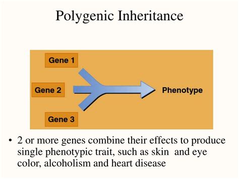 PPT - Nucleic Acids & Protein Synthesis: Unveiling the Secrets of