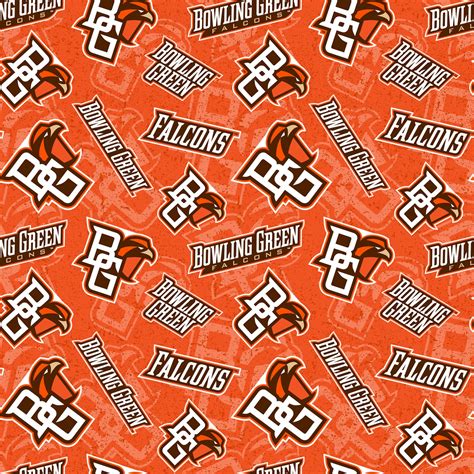 Bowling Green State University | EE Schenck Company