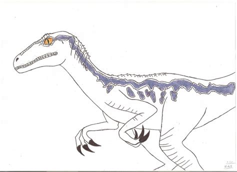 Jurassic world - Blue by Tyrannuss555 on DeviantArt