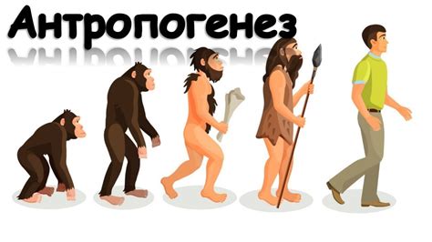 Как появился человек? Эволюция человека. - YouTube