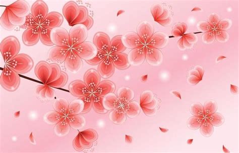 Flower Vector Art, Icons, and Graphics for Free Download