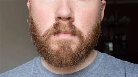 Long Chin Beard | Beard Style Corner