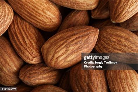 48,984 Almond Stock Photos, High-Res Pictures, and Images - Getty Images