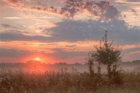 Pin de под этим ником тг.) en ЭСТЕТИКА. | Paisaje de fantasía, Paisaje ...
