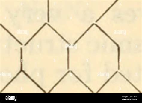 Two benzene rings hi-res stock photography and images - Alamy