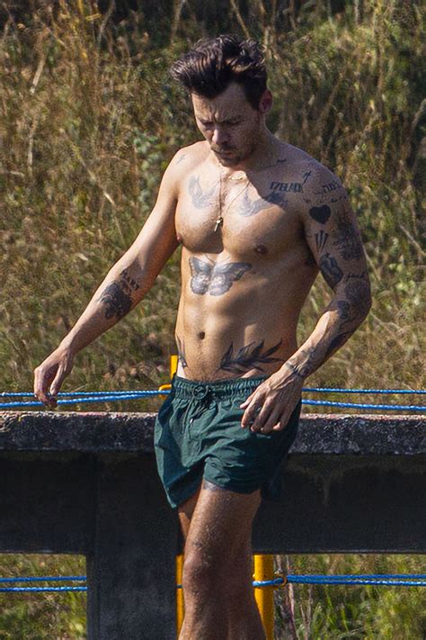 Shirtless Harry Styles shows off abs during swim in London