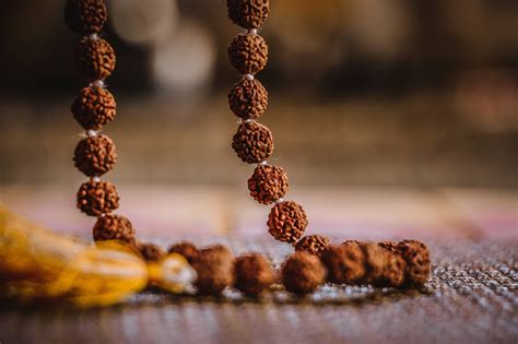 rudraksha   importance   life